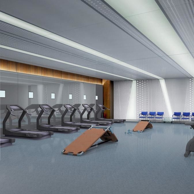 Ağır Güçlü 8mm EPDM Kauçuk Zemin Renkli Spor Spor Salonu Epdm Kauçuk Yüzey