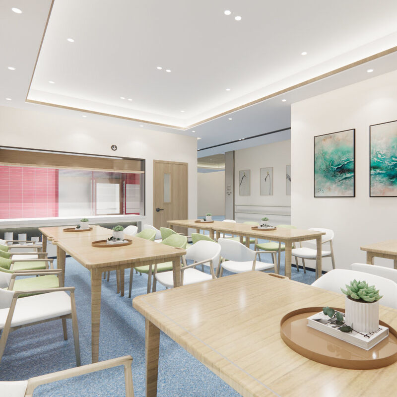 Yaşlı Bakım Evi Hasta Odaları için Çizilmeye Karşı Dayanıklı Yüzeye Sahip Darbeye Dayanıklı Homojen Zemin Kaplaması