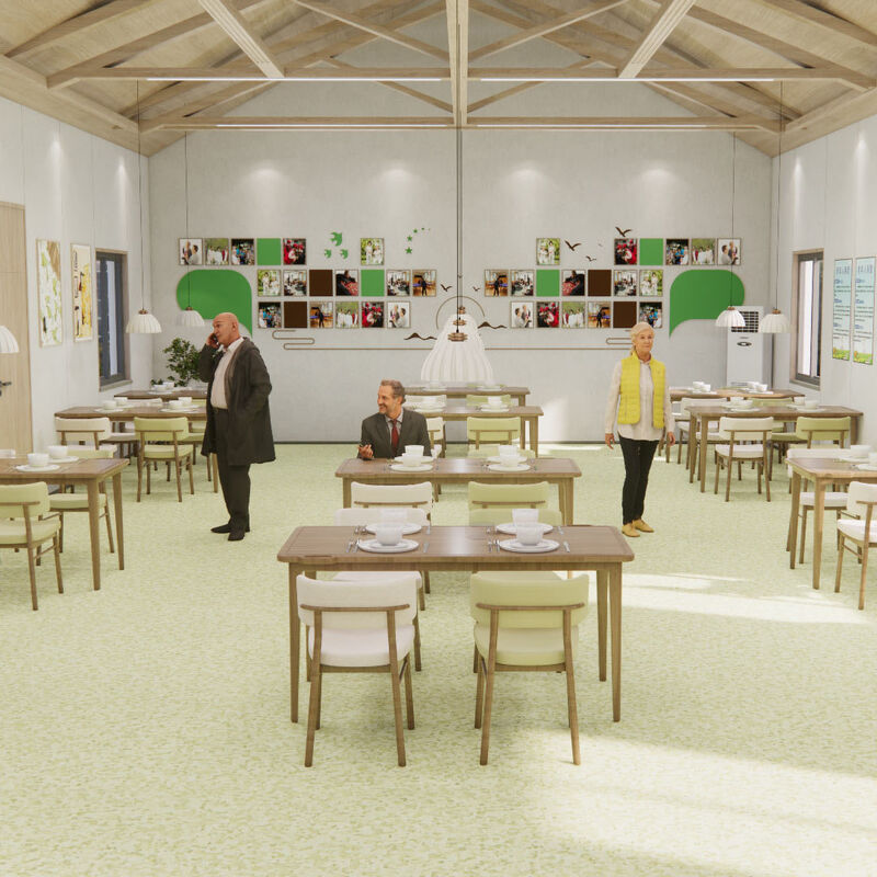 Yaşlı Bakım Evi Hasta Odaları için Çizilmeye Karşı Dayanıklı Yüzeye Sahip Darbeye Dayanıklı Homojen Zemin Kaplaması